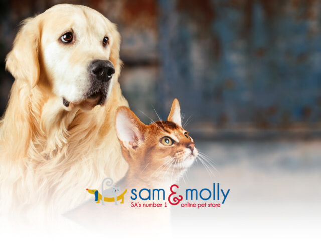 Sam and Molly